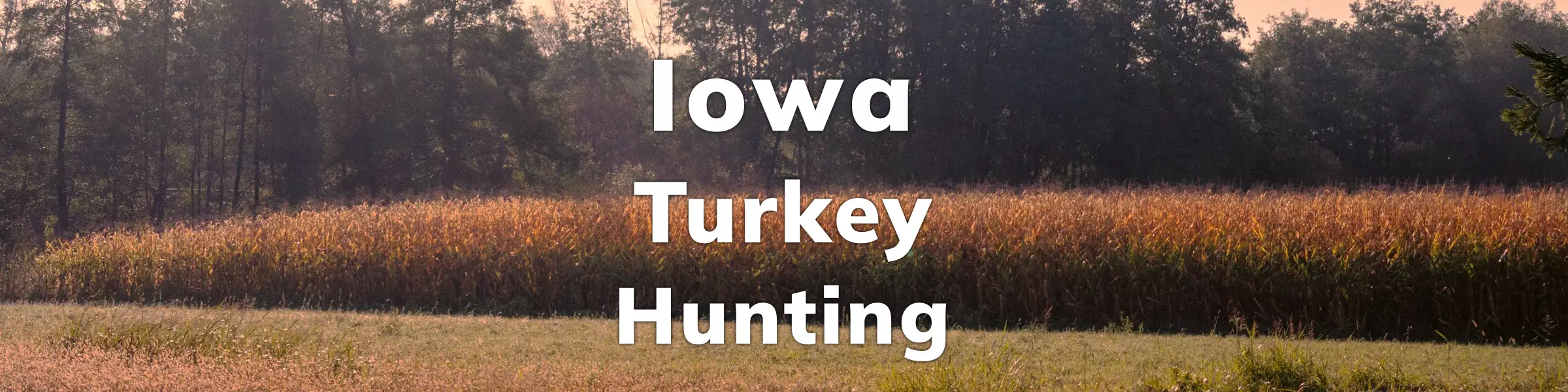 Iowa Turkey Hunting