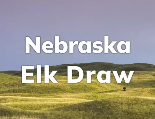 Nebraska Elk Draw