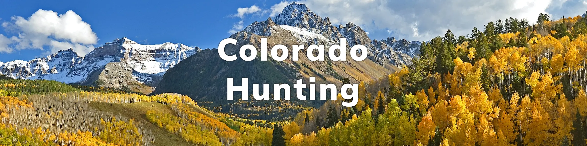 Colorado Hunting Overview Draws, Points, Species, Regulations