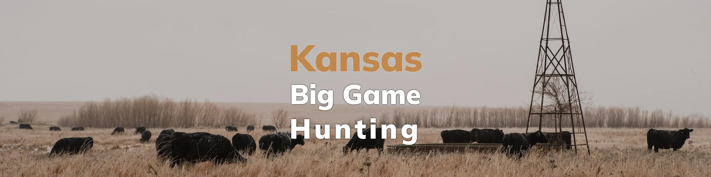 Kansas Hunting Overview Draws, Species, Regulations