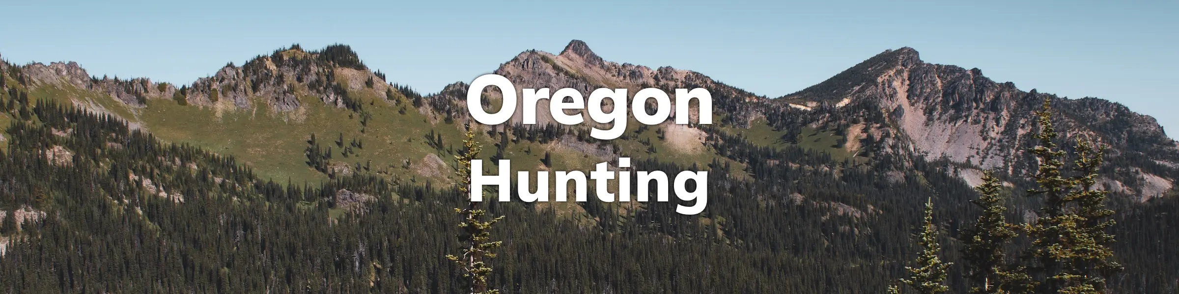 Oregon Hunting Overview - Draws, Points, Species, Regulations