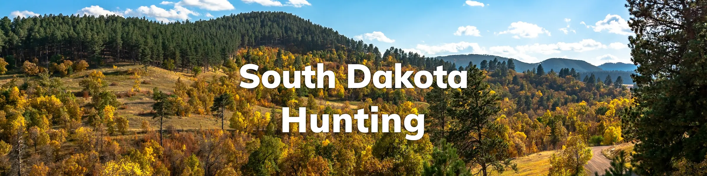 South Dakota Hunting Overview Draws, Deadlines, Points, more